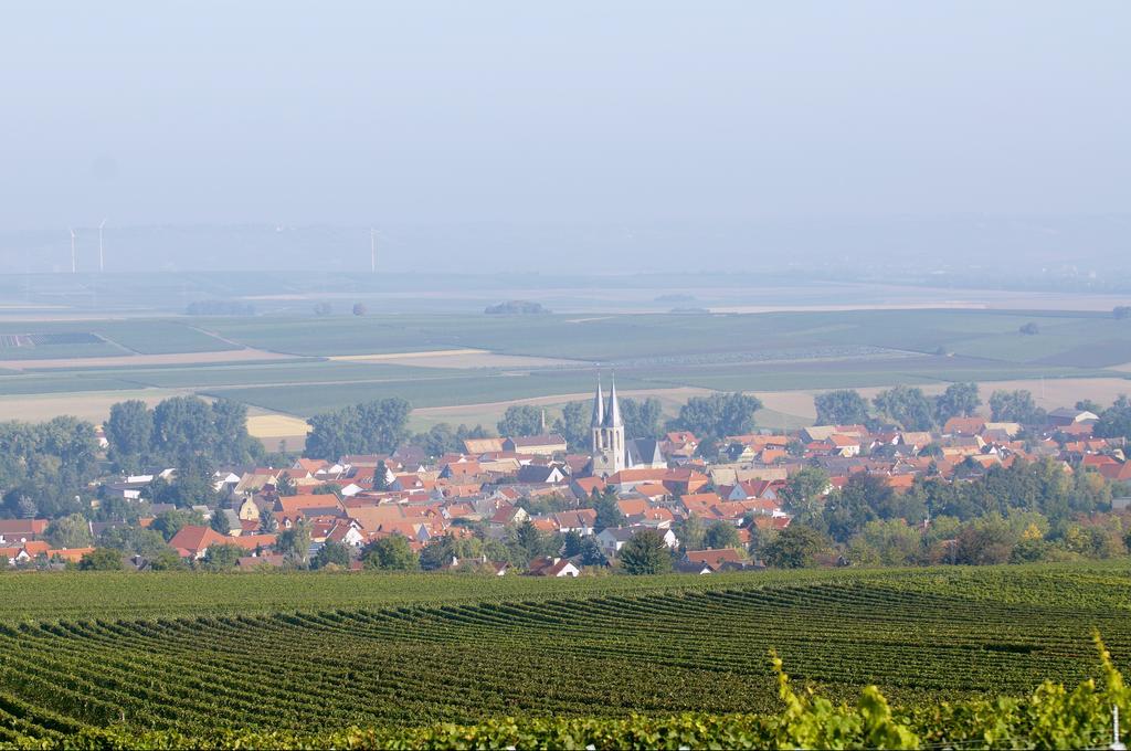 Dohlmuehle Hotel & Weingut Флонхайм Экстерьер фото