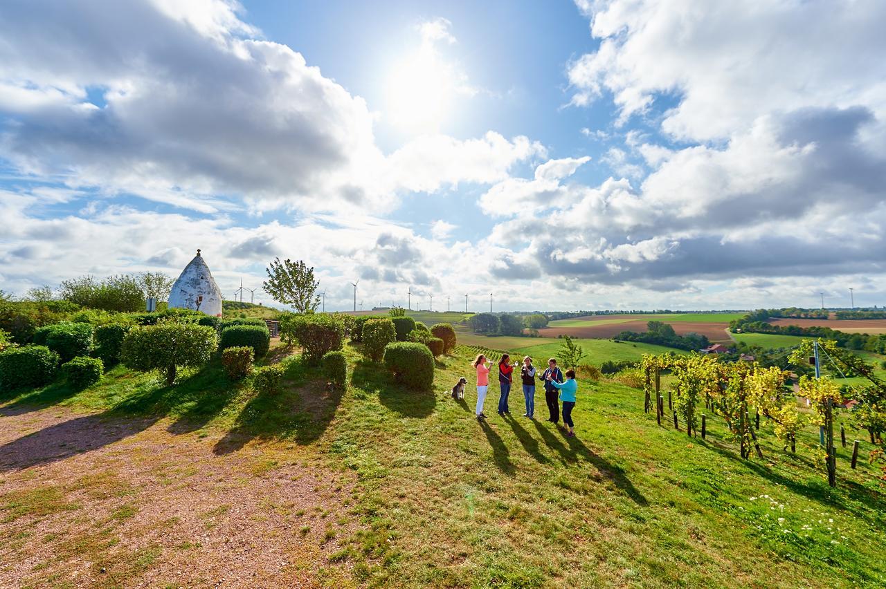 Dohlmuehle Hotel & Weingut Флонхайм Экстерьер фото