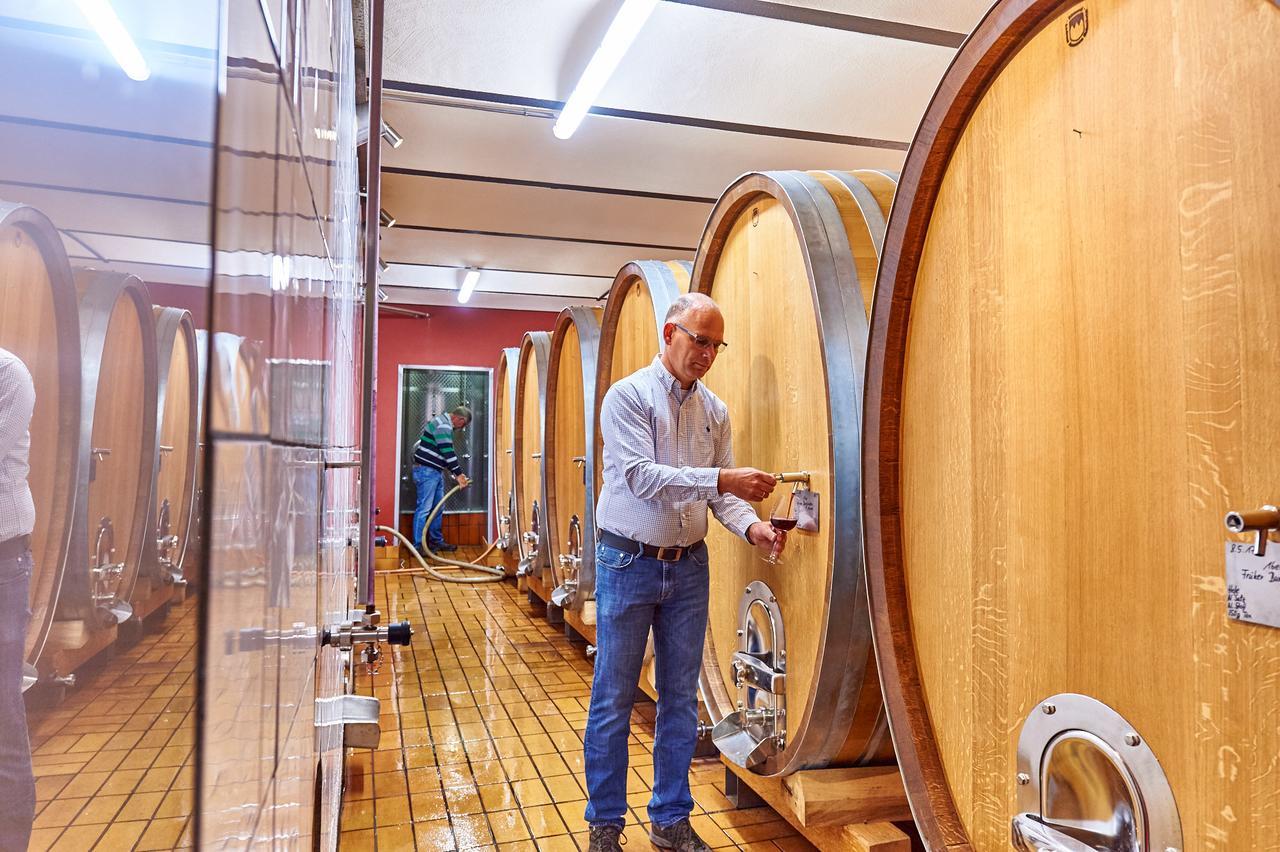 Dohlmuehle Hotel & Weingut Флонхайм Экстерьер фото