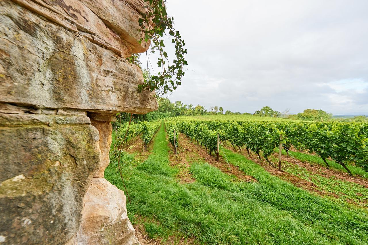Dohlmuehle Hotel & Weingut Флонхайм Экстерьер фото